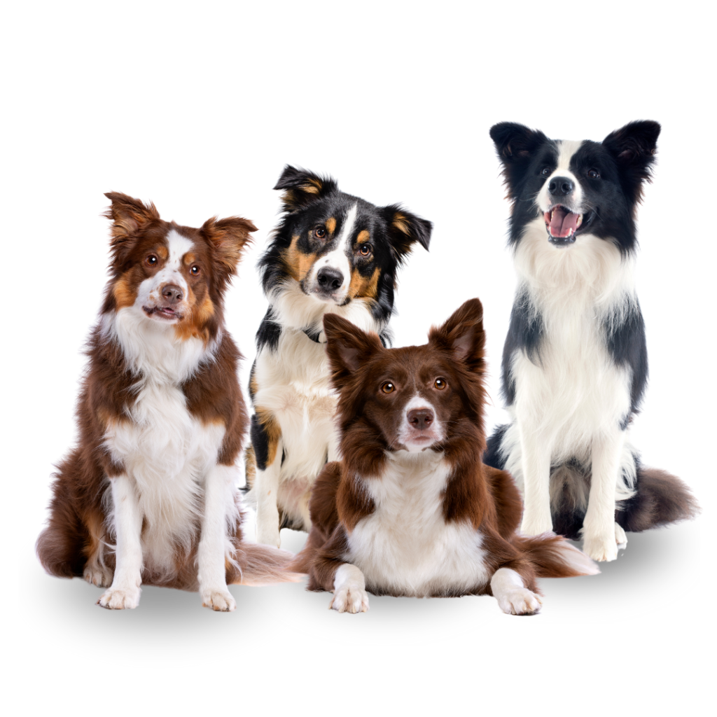 Banner nossa criação