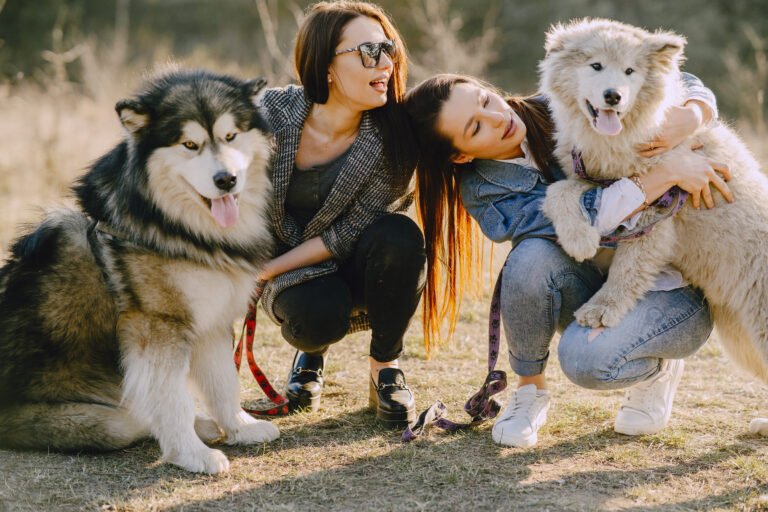 mulheres socializando seus cães no parque